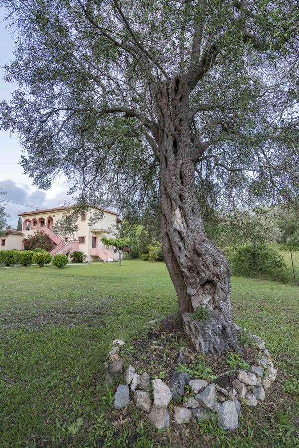 Green Corner Villas Γουβιά Εξωτερικό φωτογραφία